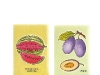fructe-cartonase0005.jpg